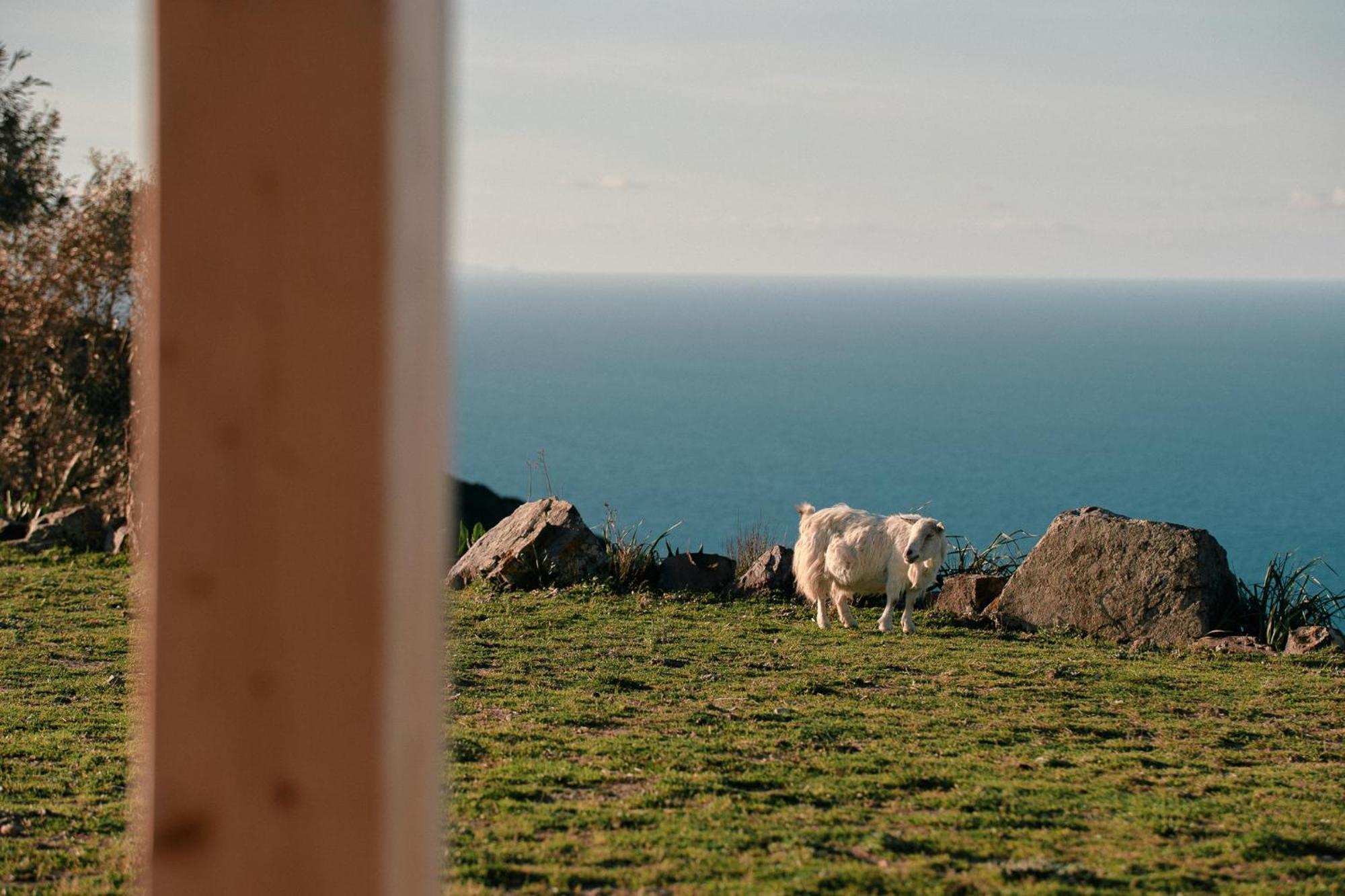 New Suites Sea View Sardinia, Castelsardo Exterior photo